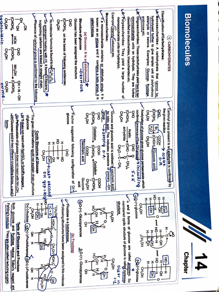 Biomolecules SHORT Notes PDF Carbohydrates Molecules