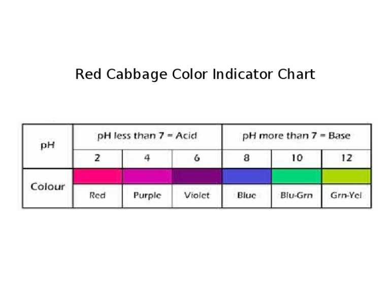 Red Cabbage Color Indicator Chart | PDF