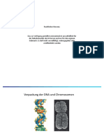 Verpackung Der DNA Und Chromosomen - 150223