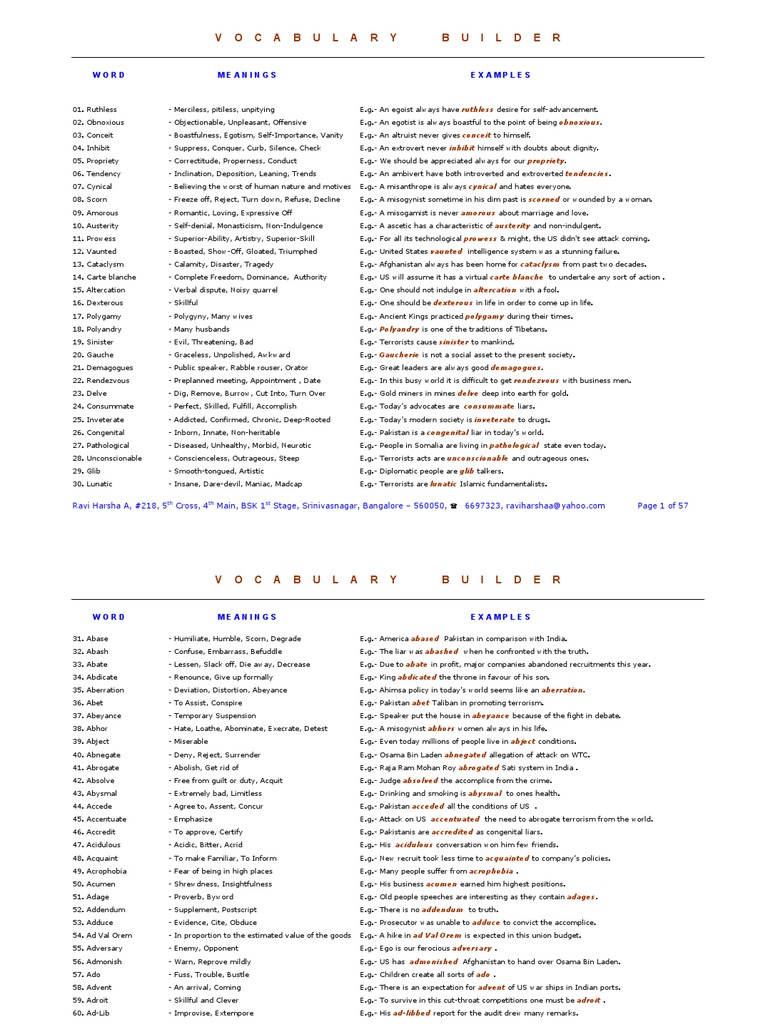 Vocabulary Builder PDF