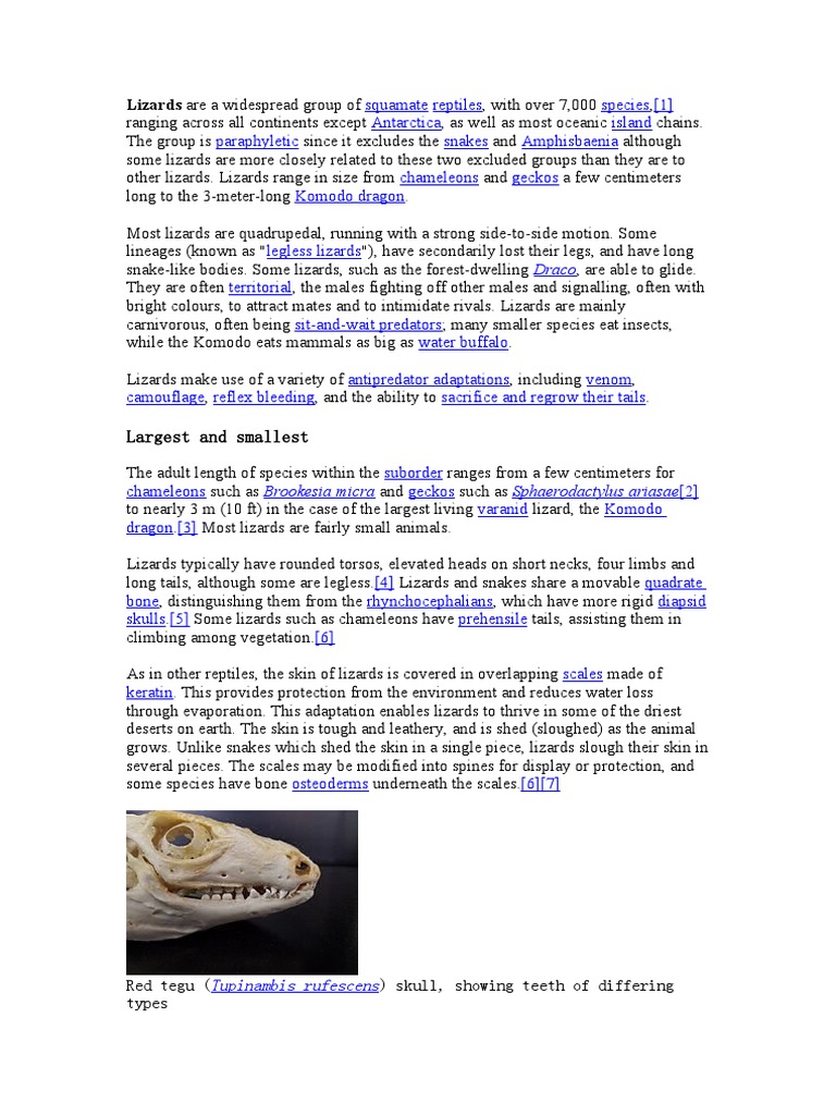 An Overview of the Diverse Traits and Adaptations of Lizards Across