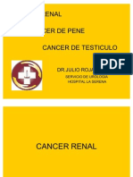 Cancer Renal, Pene y Testiculo