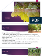 Agri Lesson 4 Sources of Fruit Bearing Trees