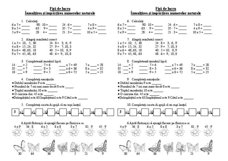 Inmultirea | PDF