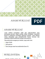 Materi 4 - Asam Nukleat