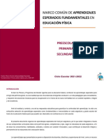 Aprendizajes Fundamentales Educación Física - Mtro. Antonio Preza