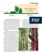 Bark Splitting on Trees