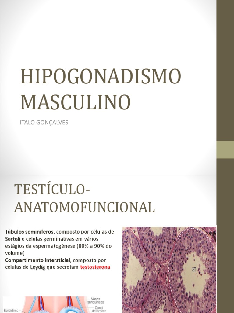 Hipogonadismo Masculino: Fisiologia e Tratamento | PDF | Testículo | Câncer