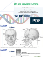 Introducción a la genética humana y la morfología craneofacial