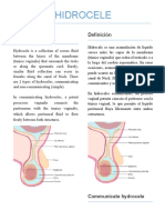 HIDROCELE