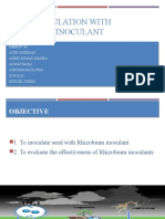 Seed Inoculation With Rhizobium Inoculant