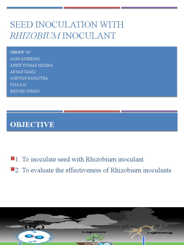 Evaluating the Effectiveness of Rhizobium Inoculants on Legume Seed