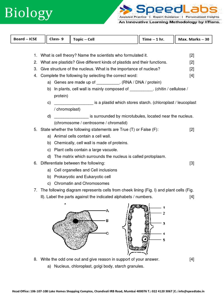 Class 9 ICSE Cell Theory Questions | PDF | Cell (Biology) | Cell Nucleus