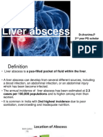 Liverabscess 230131125930 4098dbbb