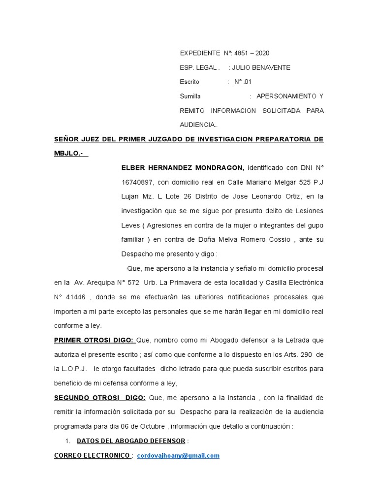 Audiencia Virtual Pdf Crímenes Crimen Y Violencia