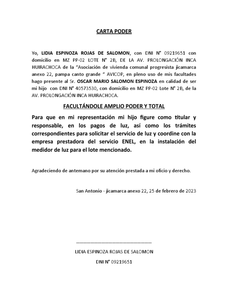 CARTA PODER Simple Luz | PDF