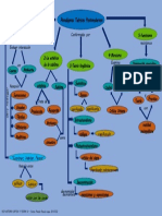 MAPA CONCELTUAL - Paradigmas Teoricos