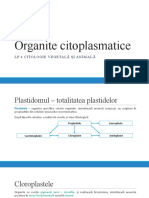 LP 4 Organite Citoplasmatice