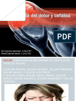 Fisiologia Del Dolor y Cefalea