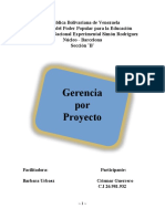 Gerencia Por Proyecto