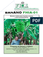 Fhia-01banano Resistente A La Sigatoka y Foc r4t