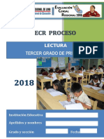 Ecr Proceso 3ro Prim Lectura