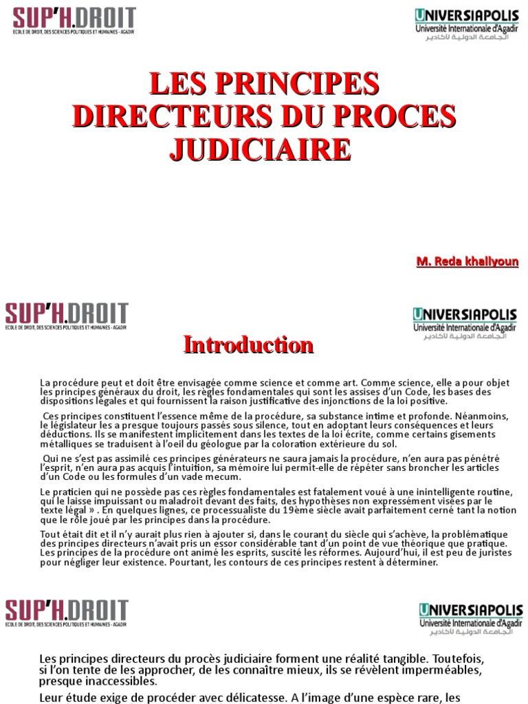 Principes Directeurs du Procès Judiciaire | PDF | Justice | Crime et ...