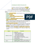 Formato y Estructura Del TFG