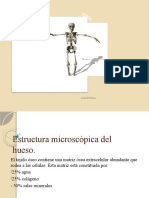 3º Clase OSTEOLOGIA