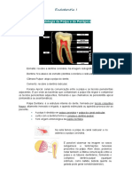 Resumo Aula 3-4 Endo I. Patologia Da Polpa e Do Periápice