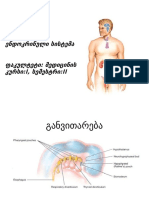 ენდოკრინული სისტემა ლექცია