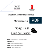 Trabajo Final Microeconomía