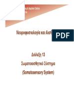 Νευροφυσιολογία και Αισθήσεις