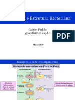 Morfologia e Estrutura Bacteriana