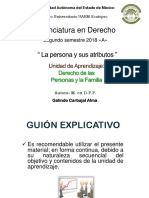 Teoria Del Derecho Personalidad