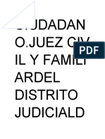 Ciudadan O.Juez Civ Il Y Famili Ardel Distrito Judiciald
