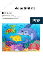 Activitate Finala 2