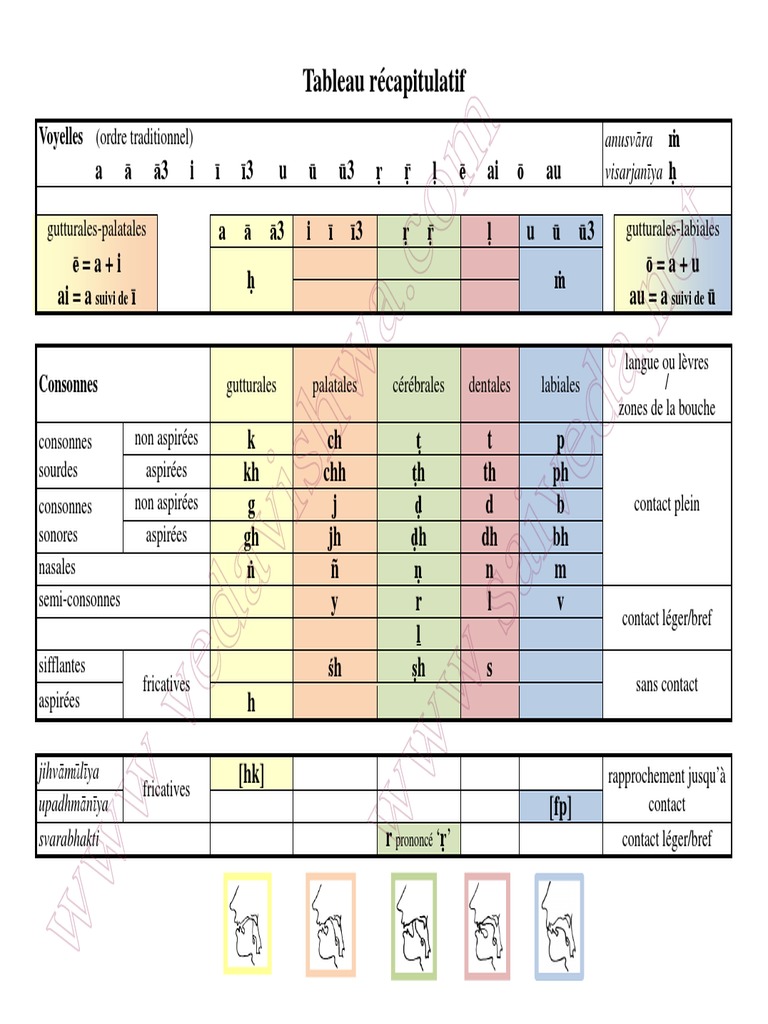 Tableau récapitulatif des voyelles et consonnes | PDF | Voix humaine ...