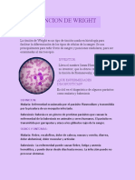 Parasitologia S3