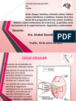 T-15 Ciclo Celular-Bmyc-Prof Anabel Gonzalez