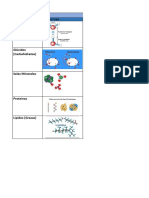 Biomoleculas 2