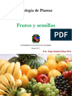 Clase Morfologia Frutos y Semillas