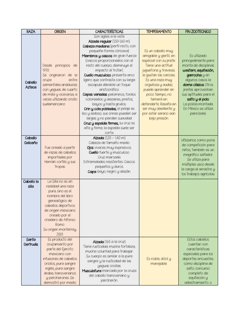Razas de Caballos PDF Caballos Entrenamiento de caballos