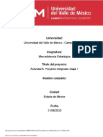 A5 Masf PDF