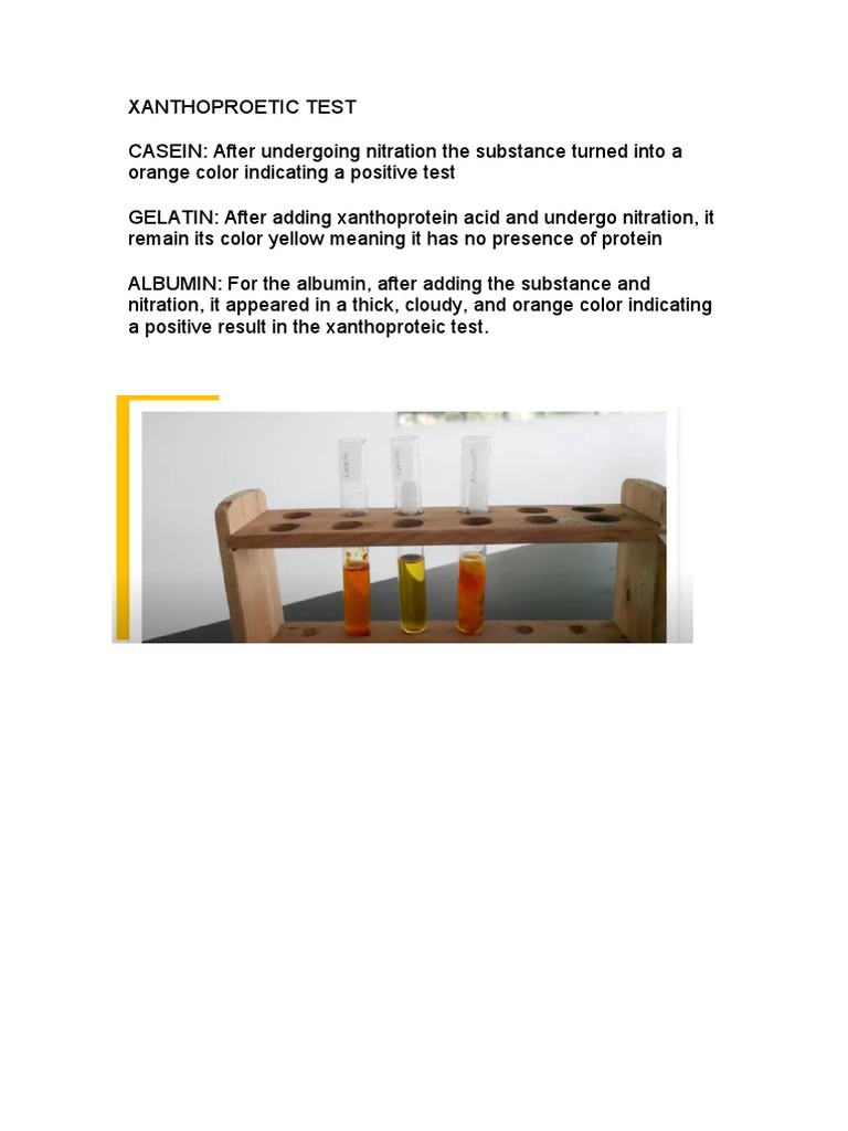 Results of the Xanthoproteic Test on Various Substances Casein