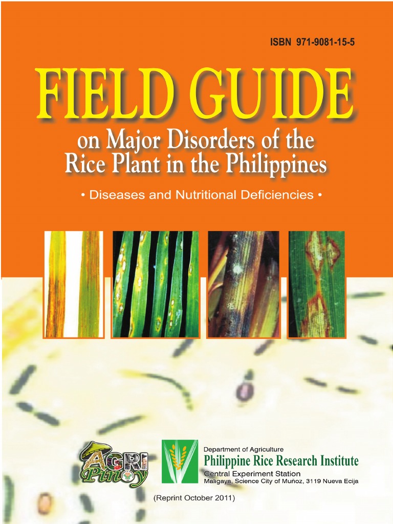Major Rice Diseases in the Philippines | PDF | Plant Pathology | Pathogen