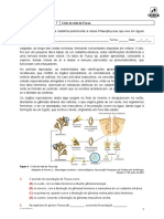 Ae bf11 Qa 7