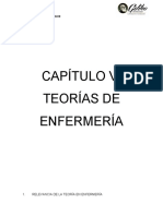 CAPÍTULO VI TEORÍAS DE ENFERMERÍA