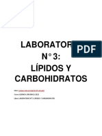 Laboratorio #3 Lípidos y Carbohidratos