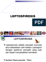 Materi Leptospira